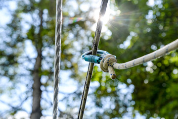 D shape carabiner climbing equipment on a trek in a forest climbing park on a sunny day, safety concept