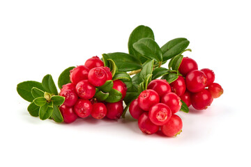 Lingonberry with leaves, isolated on white background.