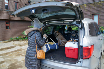 Woman loading the car for a trip, with a dog patiently waiting in the trunk.