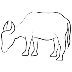 Obraz premium Vector hand drawn Buffello illustration