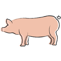 Obraz premium Vector hand drawn Pig illustration