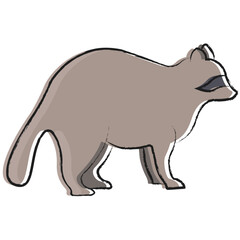 Vector hand drawn Raccoon illustration