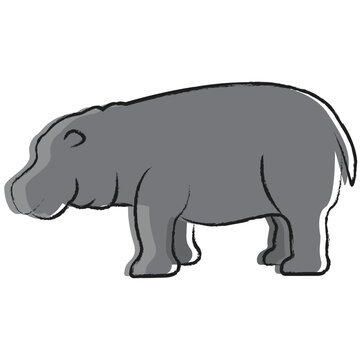 Vector hand drawn Hippopotamus illustration