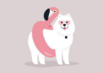 A fluffy samoyed dog wearing an inflatable flamingo life buoy, summer swimming pool party activities