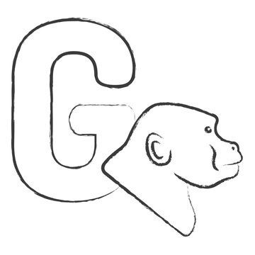 Vector hand drawn Alphabet Series G illustration