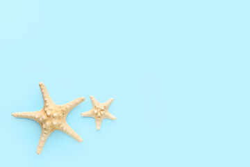 Fototapeta na wymiar Beautiful starfishes on blue background