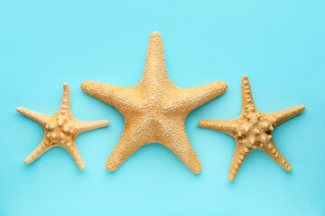 Beautiful starfishes on blue background