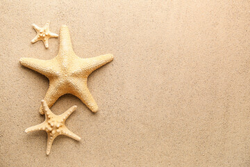 Fototapeta na wymiar Different starfishes on sandy beach