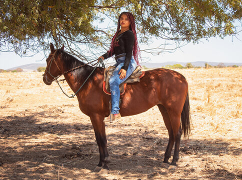 Cowgirl com o seu cavalo debaixo de uma &aacute;rvore em uma fazenda no nordeste do Brasil.