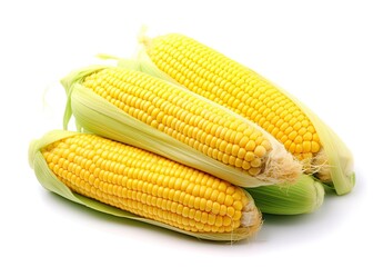 Five fresh ears of corn on a clean white background created with Generative AI technology