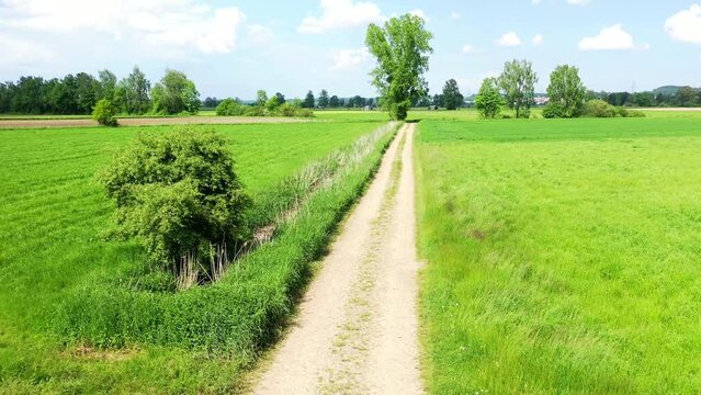 Flug mit einer Drohne &uuml;ber einen unbefestigten Feldweg in einer l&auml;ndlichen Gegend. Der Weg ist mit kleinen Steinen und Kieseln bedeckt und wird von hohem Gras und Wildblumen auf beiden Seiten umgeben.