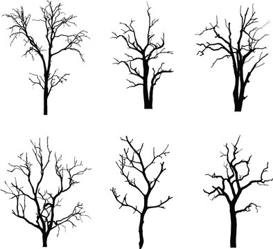 A vector collection of thin spooky trees for artwork compositions and backgrounds
