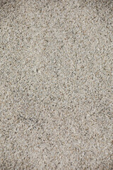 background texture sand from the baltic sea