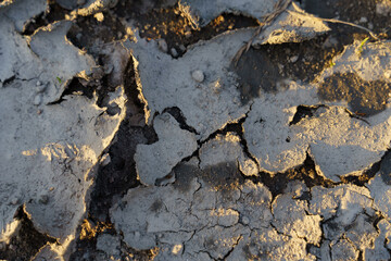Dry and cracked soil after drought. Climate change concept.