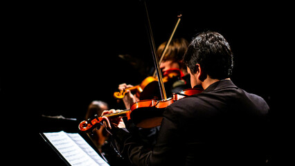 two people playing violin at an orchestra perfomance in a theatre, musician, violinist
