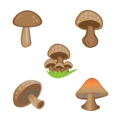 mushroom icon logo vector design template