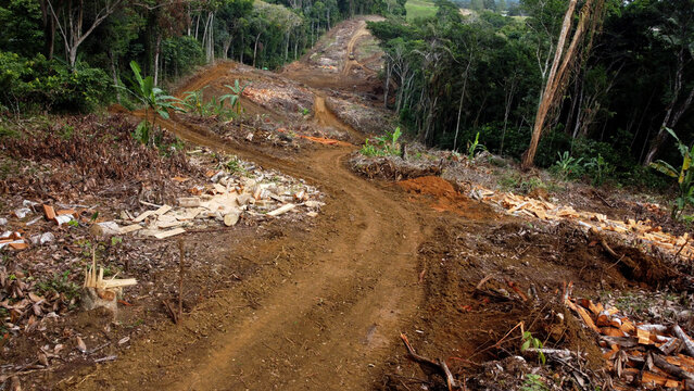ilheus, bahia, brazil - may 23, 2022: sowing area in the atlantic forest for the construction of the BA 649 highway connecting the municipalities of Itabuna to Ilheus