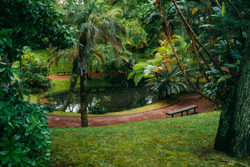 Jardim Botanico Antonio Borges. Tranquil botanical garden in Azores, Portugal, showcasing diverse plant species and serene natural beauty. High quality photo - 632348875