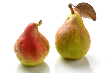 fresh pears on white background, studio shot 13