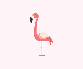 Flat vector illustration of a pink flamingo