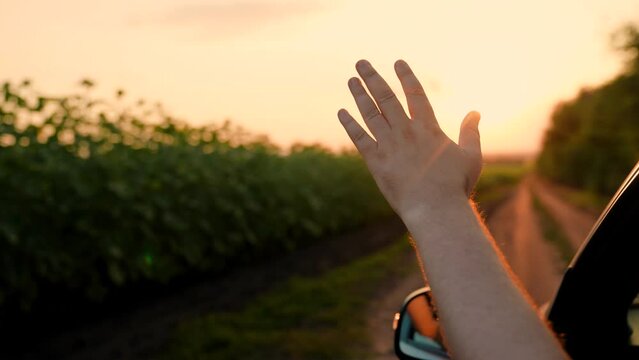 Man driver traveler raises his hand from window of car plays with his fingers with suns rays. Driver Hand plays with sun from car window against backdrop of beautiful sunset. Travel by car countryside