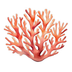 watercolor coral isolated on transparent png, generative ai
