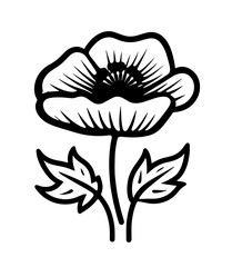 Flowers meadow field village garden flowerbed rose tulip poppy chamomile