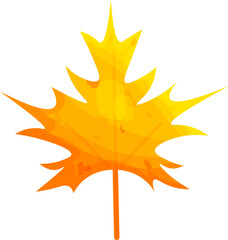Yellow maple leaf in cartoon style isolated on white background