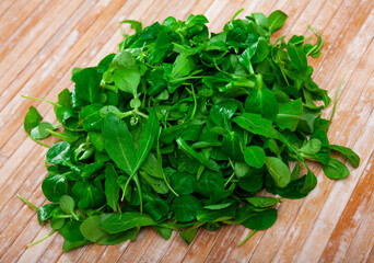 Heap of green fresh arugula leaf and canonigo or mache salad