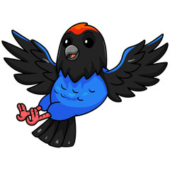 Cute blue manakin bird cartoon