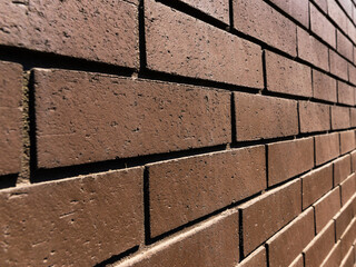 Brown Brick Wall CU with Forced Perspective