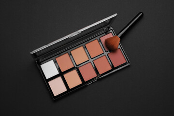 Contouring palette and brush on black background, top view. Professional cosmetic product