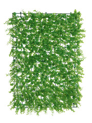 Green artificial plants with lush leaves isolated on white