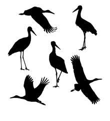 set of silhouettes of stork illustration vector