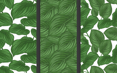 Vector seamless patterns set of many big tropical leaves. Exotic plant bush. Trendy botanical print. Dark green floral background. Elements for summer banner, packaging layout design, textile swatch