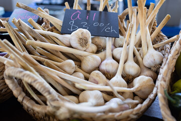 Bulbes d'ail biologique dans panier, trois dollars, horizontal