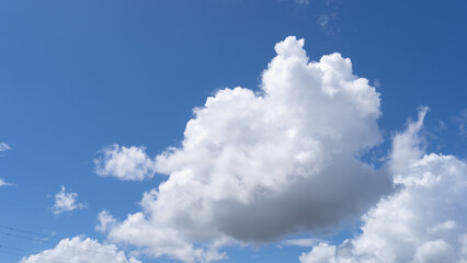 Naklejka na ściany i meble 夏の青空と白い雲