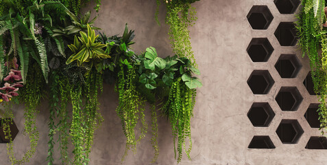 realistic simulation plants for decorating the room on the cement wall