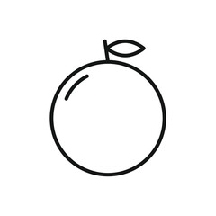 Editable Icon of Orange Fruit, Vector illustration isolated on white background. using for Presentation, website or mobile app