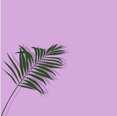 Vector illustration of a palm leaf on a purple background 