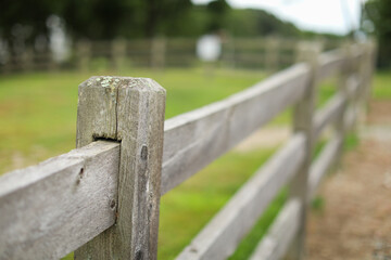 weathered wooden fence, rich in rustic charm, symbolizes boundaries, security, and the embrace of nature's enduring strength