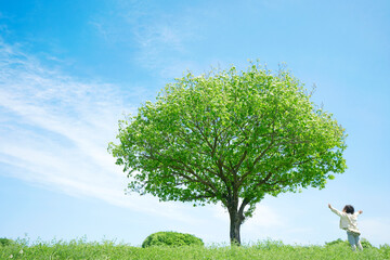 Fototapeta 一本木のある草原に立つ子供　クリーンエネルギー・環境問題・エコロジー・地球温暖化イメージ obraz