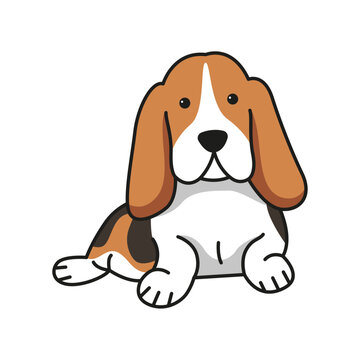 basset hound on white background. vector illustration eps 10.