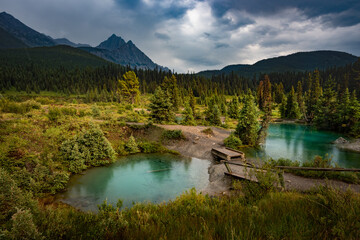  Ink Pots, Banff Alberta. Rain-kissed landscapes come alive in a dance of colors. Verdant meadows and crystal-clear pools blend seamlessly under a soft drizzle, in a masterpiece of tranquility.