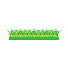 Green grass ilustration flat trendy style illustration on white background..eps
