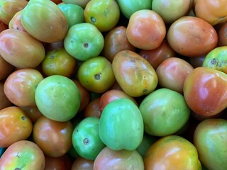 red and green tomatoes.