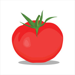 Vector illustration of set of different tomatoes isolated on background. Fruits or vegetables in cartoon flat style. Whole, sliced, quarter, half of a tomato fruit with branch and leaves for graphic