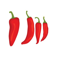 Vector illustration of red hot chili pepper realistic in flat cartoon stle. Red hot chili pepper lay on white background with shadow for labels and logo design. Single or group chili pepper.