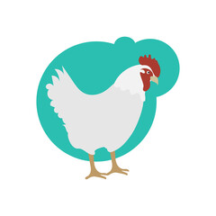 Vector hand drawn cartoon chicken illustration.