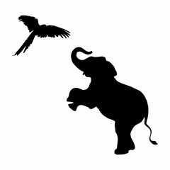 silhouette of elephant and bird
